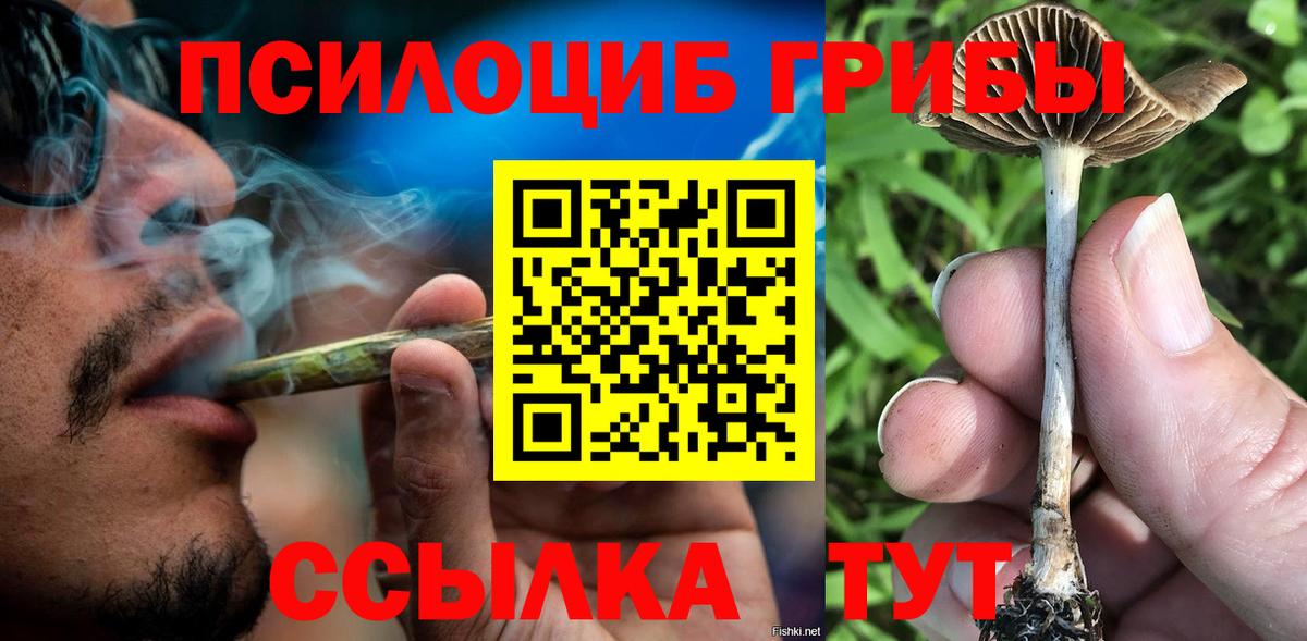 Галлюциногенные грибы MAGIC MUSHROOMS  Вход с VPN  Чехов 
